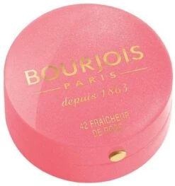 Bourjois Little Rount Pot Blush 095 Rose De Jaspe 22 Bourjois Little Rount Pot Blush 095 Rose De Jaspe -Mode Cosmetica Winkel 1129x1200 2