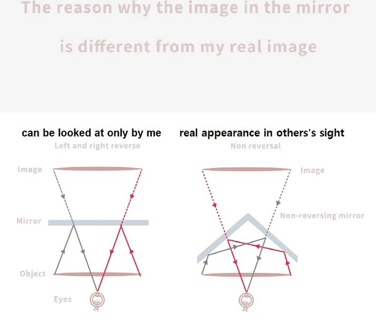 MRMR - The Non-reversing Mirror - Zonder Links & Rechts Gespiegeld - Make Up Spiegel 7 MRMR - The Non-reversing Mirror - Zonder Links & Rechts Gespiegeld - Make Up Spiegel - Afbeelding 7
