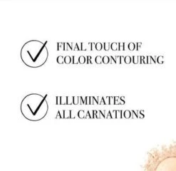 Bourjois Le Petit Strober Highlighter - 00 Universal Glow 21 Bourjois Le Petit Strober Highlighter - 00 Universal Glow -Mode Cosmetica Winkel 1200x1164 19