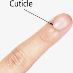 Mode Cosmetica Winkel 29 Merkloos 2 In 1 Bokkepoot - Roestvrijstaal