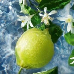 Guerlain - Aqua Allegoria Bergamote Calabria - Eau De Toilette - 75ML -Mode Cosmetica Winkel 1200x1200 1480