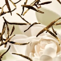 RITUALS Life Is A Journey - Karma Car Perfume - 6 G -Mode Cosmetica Winkel 1200x1200 1508