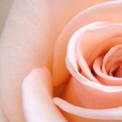 Spider-Man Eau De Toilette Spray - 100 Ml - Parfum Voor Kinderen -Mode Cosmetica Winkel 1200x1200 1571