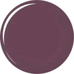 Maybelline Color Sensational - 338 Midnight Plum - Paars - Lippenstift -Mode Cosmetica Winkel 1200x1200 669
