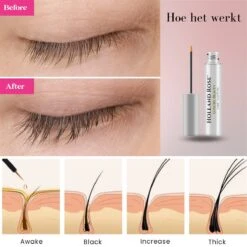 Holland Rose® Luxury Beauty - Wimperserum - Cadeau - Wimper Groeimiddel - Lange En Volle Wimpers - Dikke Wimpers - Wimperserum - Wimper Lifting - 7ml -Mode Cosmetica Winkel 1200x1200 760