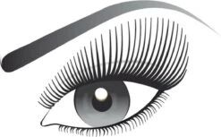 L’Oréal Paris False Lash Telescopic Mascara - Zwart -Mode Cosmetica Winkel 1200x741
