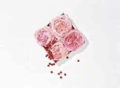 Lancôme Miracle 30 Ml - Eau De Parfum - Damesparfum -Mode Cosmetica Winkel 1200x886 1