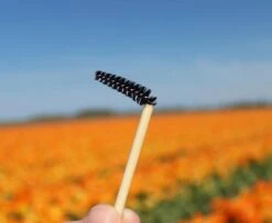 Natural Shaper Brow Soap Met Bamboo Brush – Browsoap - Wenkbrauwgel Met Langdurig Effect – Veilig En Natuurlijk – Brow Shaping - Wenkbrauw Soap -Mode Cosmetica Winkel 1200x984 1